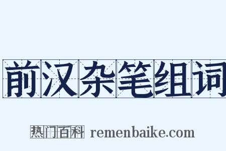前汉杂笔组词是什么意思的图片